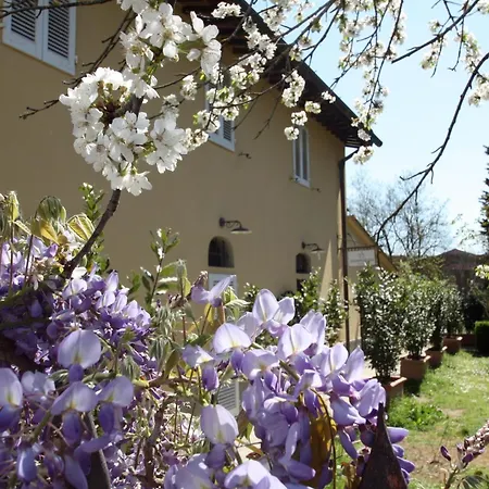 Calzaiolo San Casciano in Val di Pesa